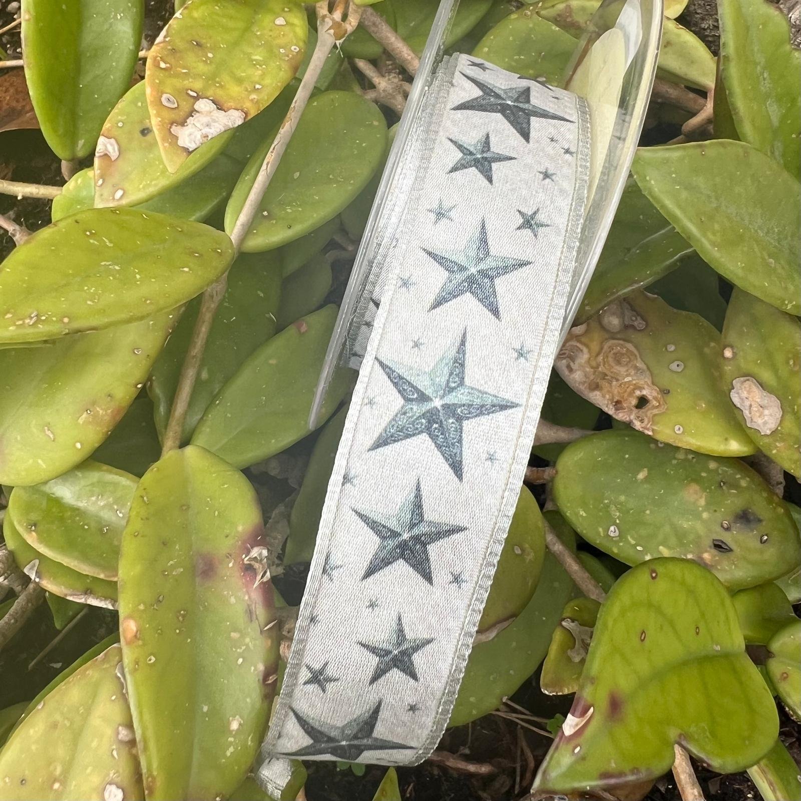 nastro bianco con stelle grigie e bordo argento Stafil 25 mm x 1 mt