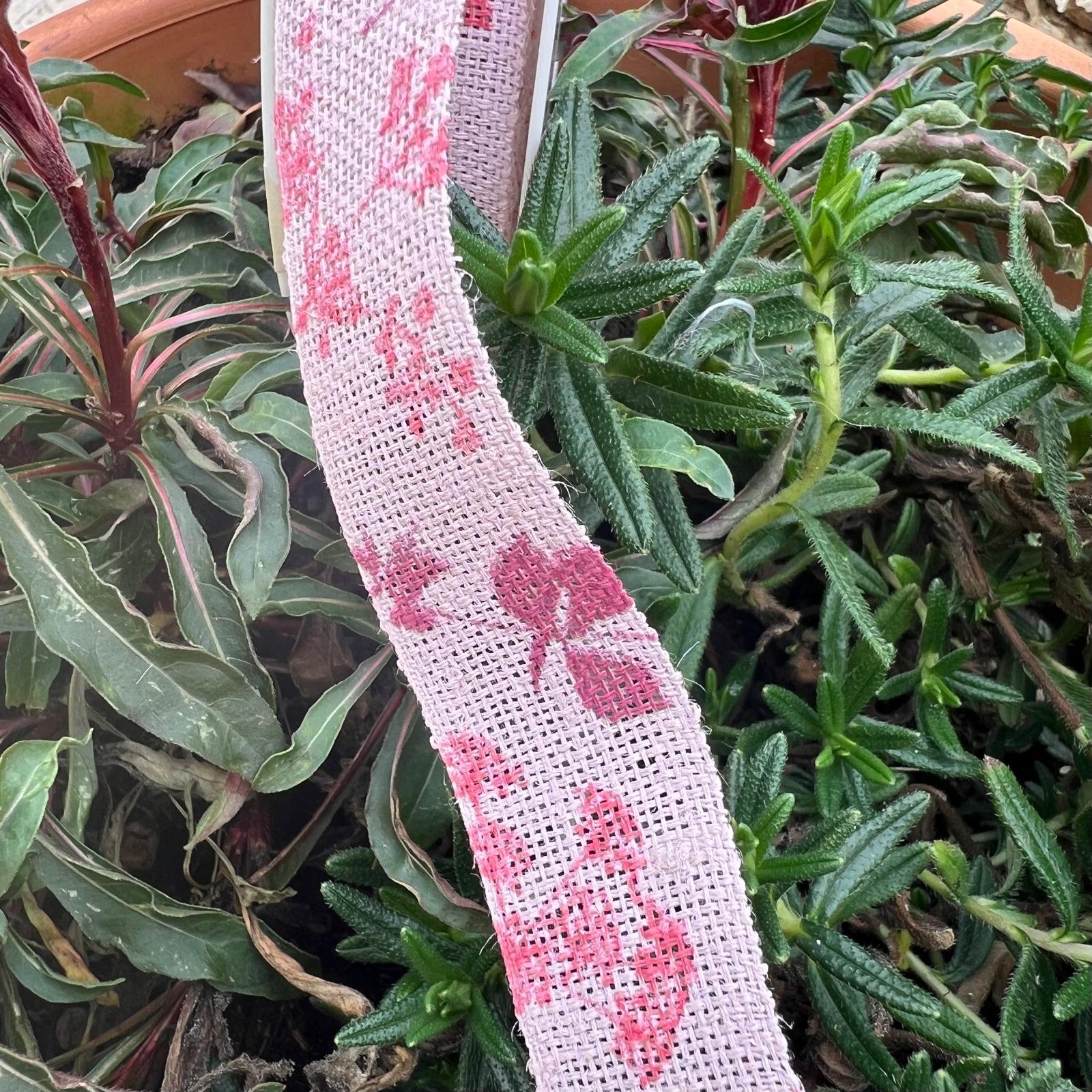 nastro rustuco rosa con decori di foglie Goldina 25 mm x 1 metro
