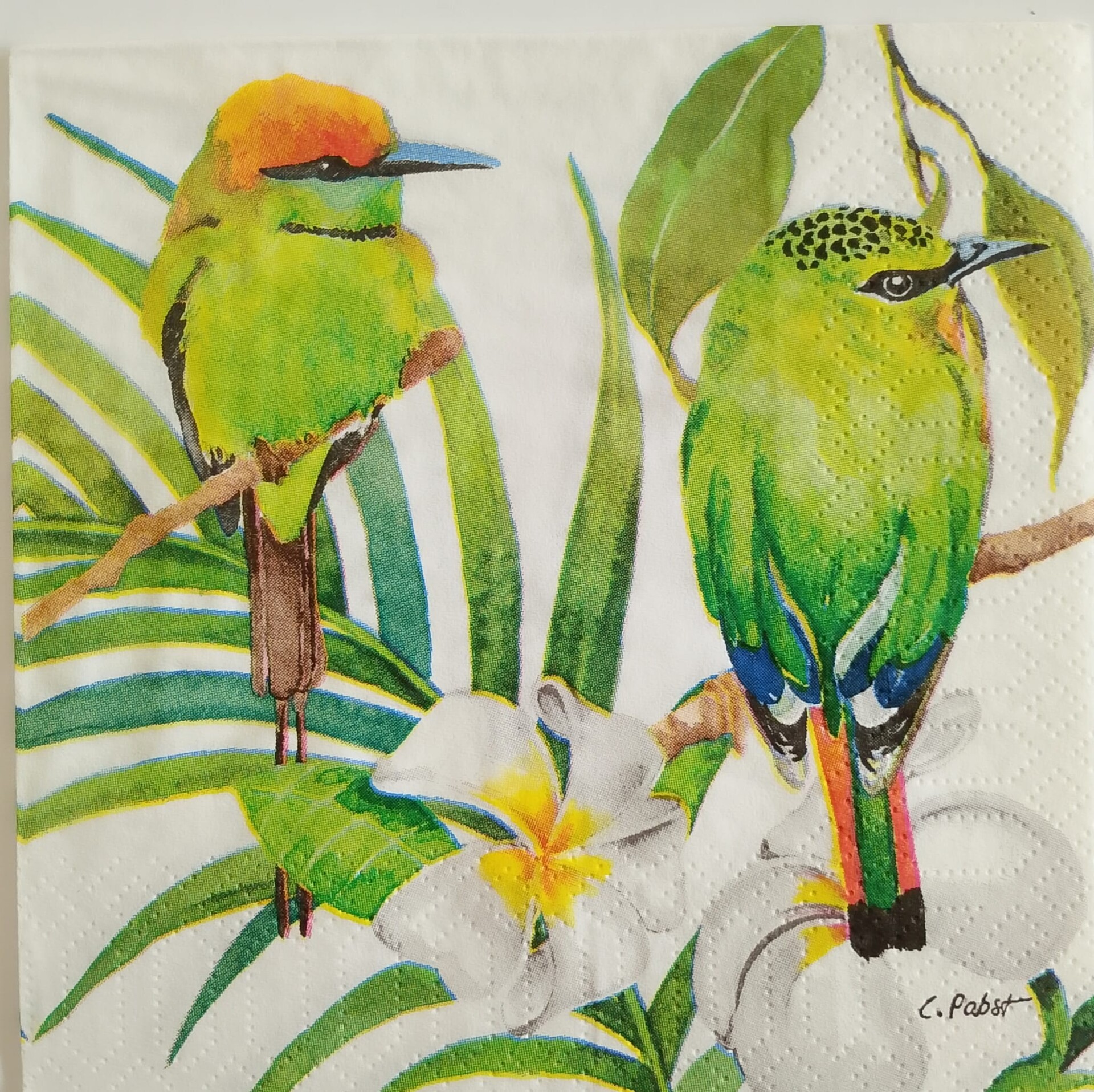 Tovaglioli con uccellini verdi arti e grafica busta da 2 pezzi 25 x25 cm