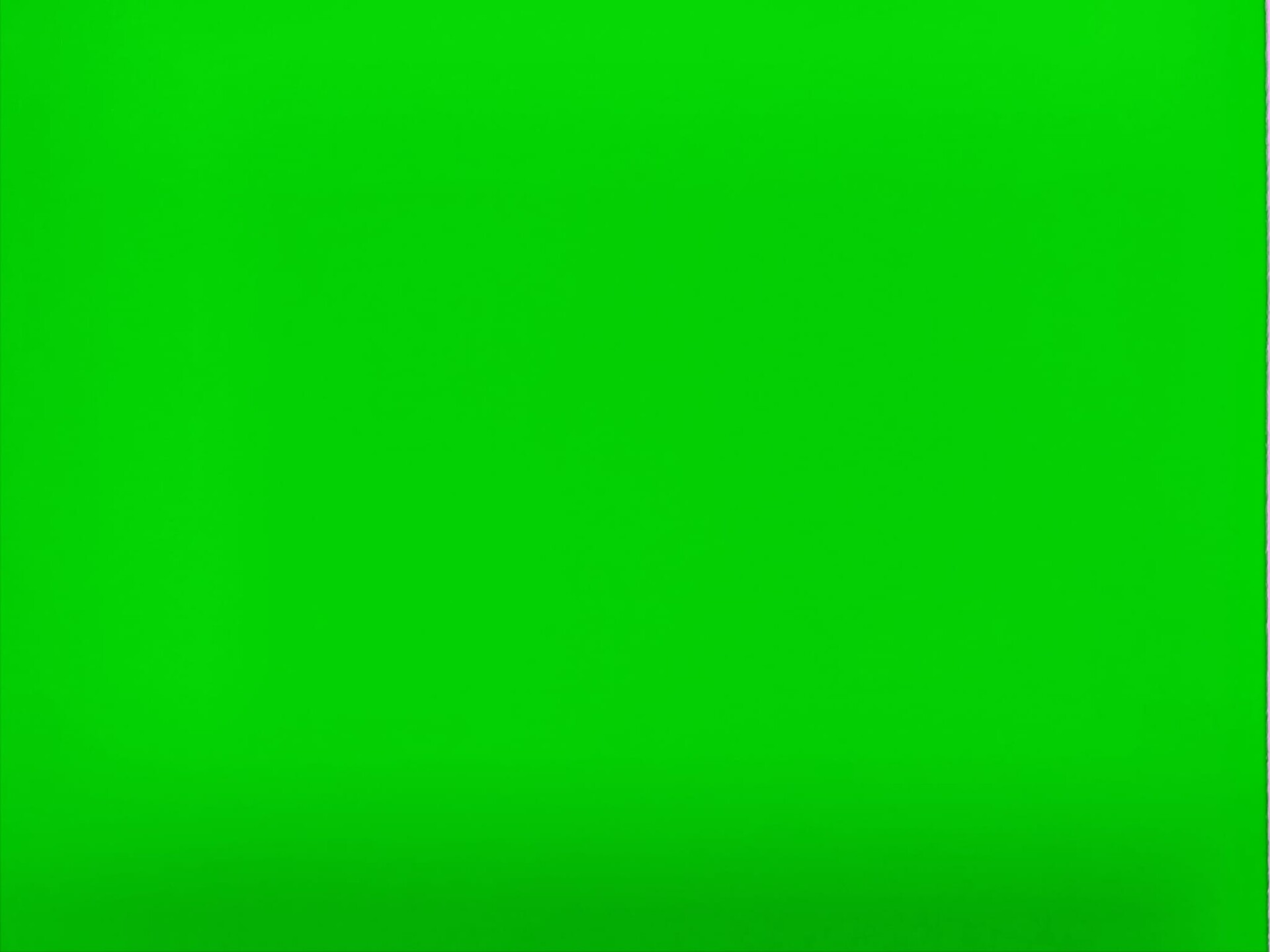 cartoncino verde fluo  busta da 5 fogli canson 250gr  29,7 x 42