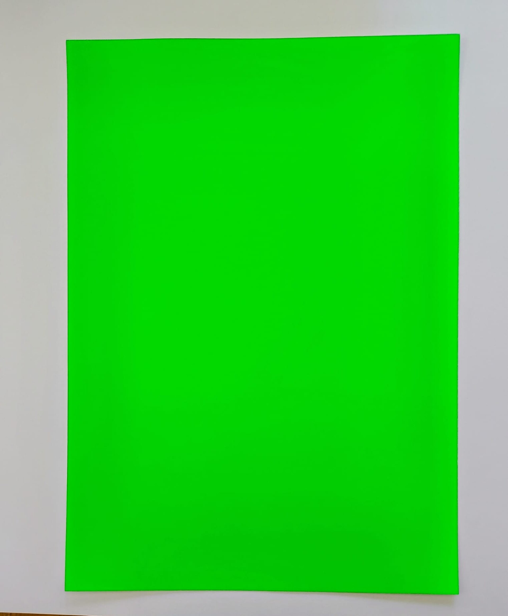 cartoncino verde fluo  busta da 5 fogli canson 250gr  29,7 x 42