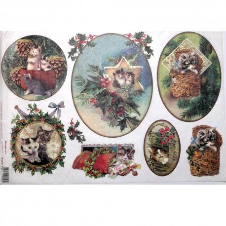 Gattini nelle ceste stamperia 33x48