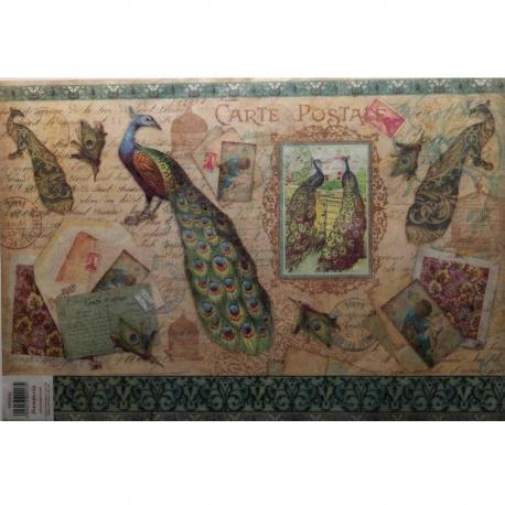 Carta riso Pavoni stamperia 33x48