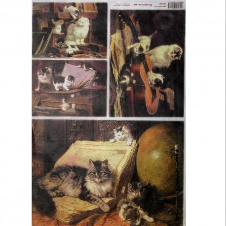 Carta riso gatti stamperia 33x48