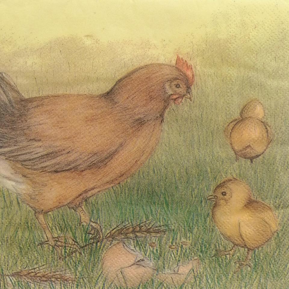 tovaglioli gallina con pulcini arti e grafica busta da 2 pezzi 33 x 33