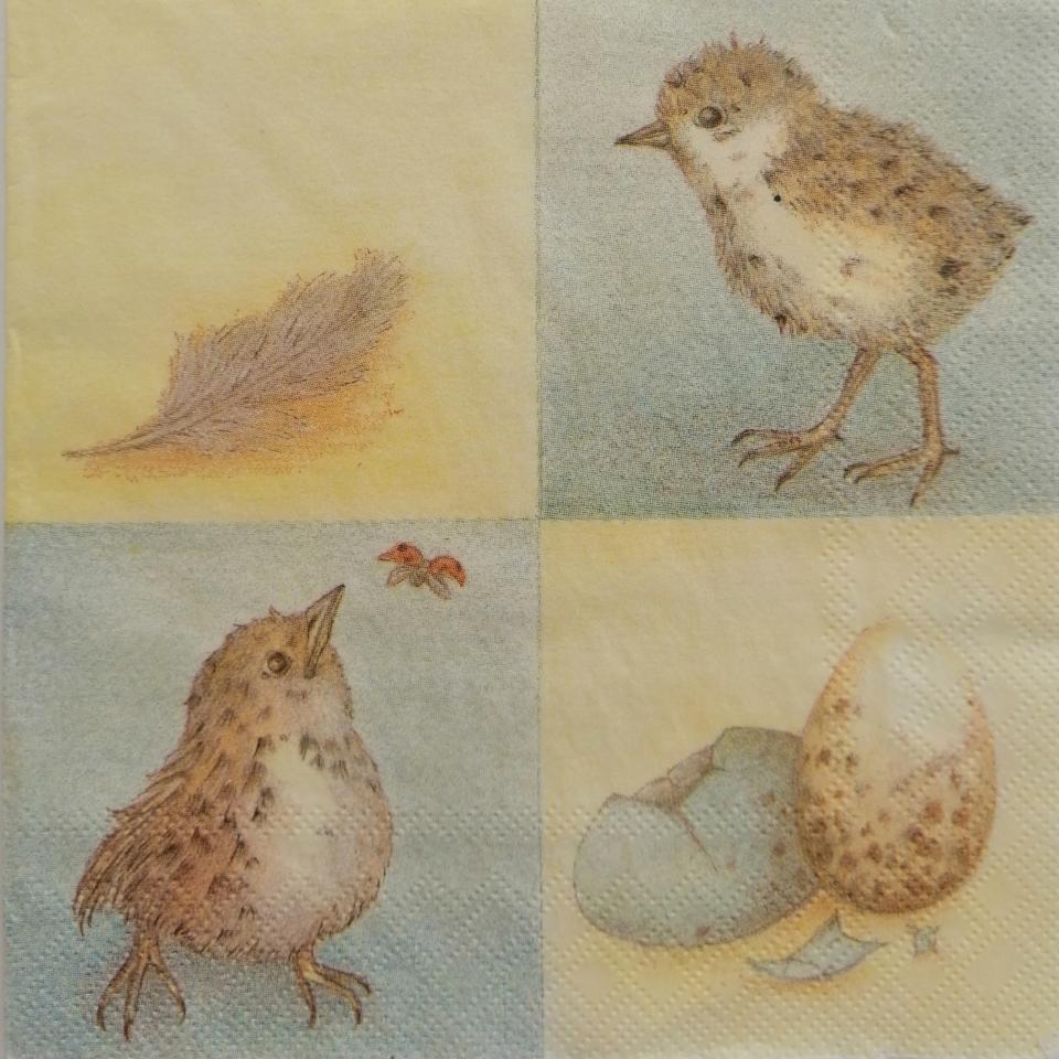 tovaglioli pulcini piume ed uova arti e grafica busta da 2 pezzi 33x33