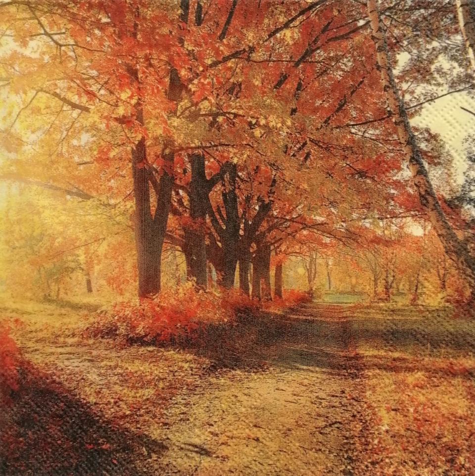 tovaglioli bosco autunnale arti e grafica busta da 2 pezzi 33 x 33 cm