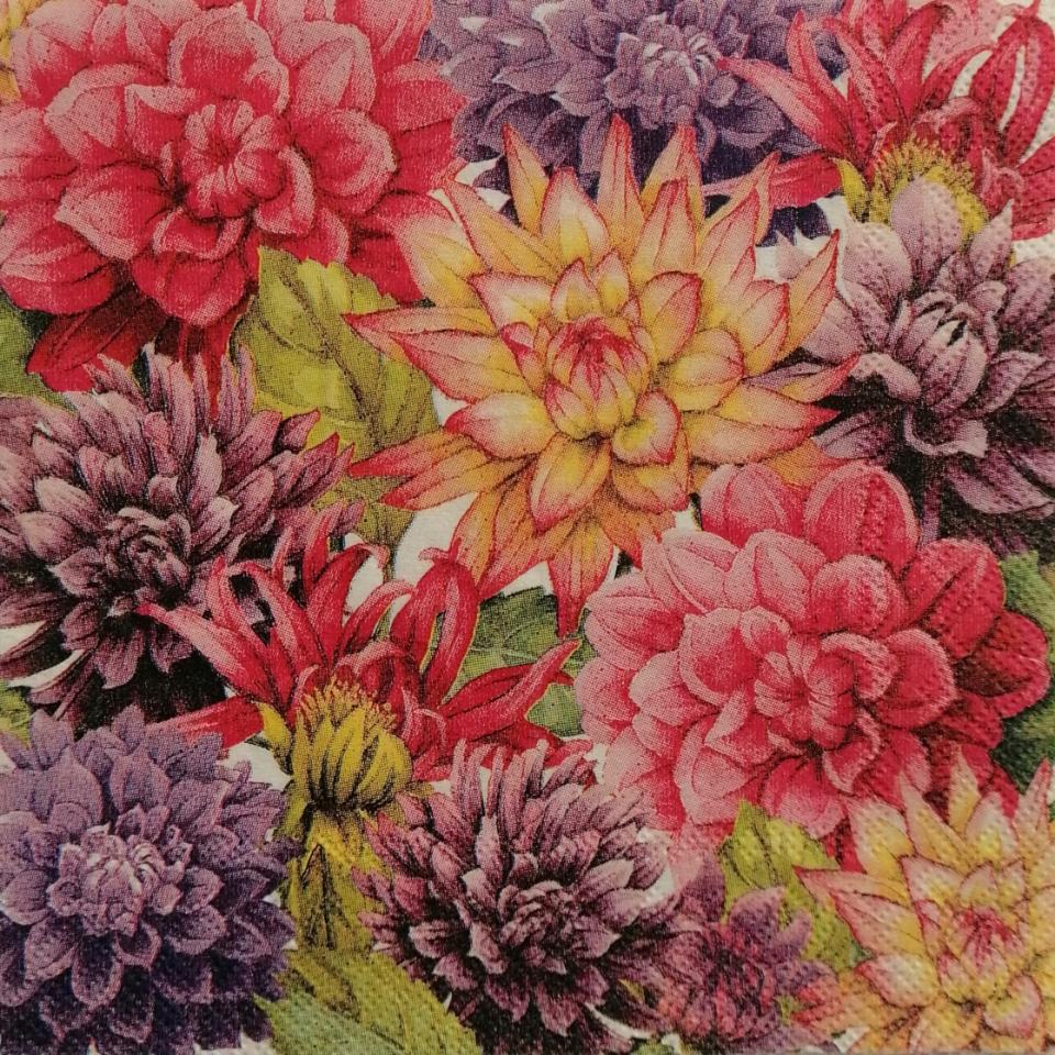 tovagliolo per decoupage fiori  dalie arti e grafica busta da 2 pezzi  25 x 25 cm