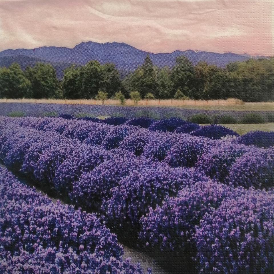 tovaglioli decoupage fiori di campo di lavanda arti e grafica busta da 2 pezzi 33 x 33 cm