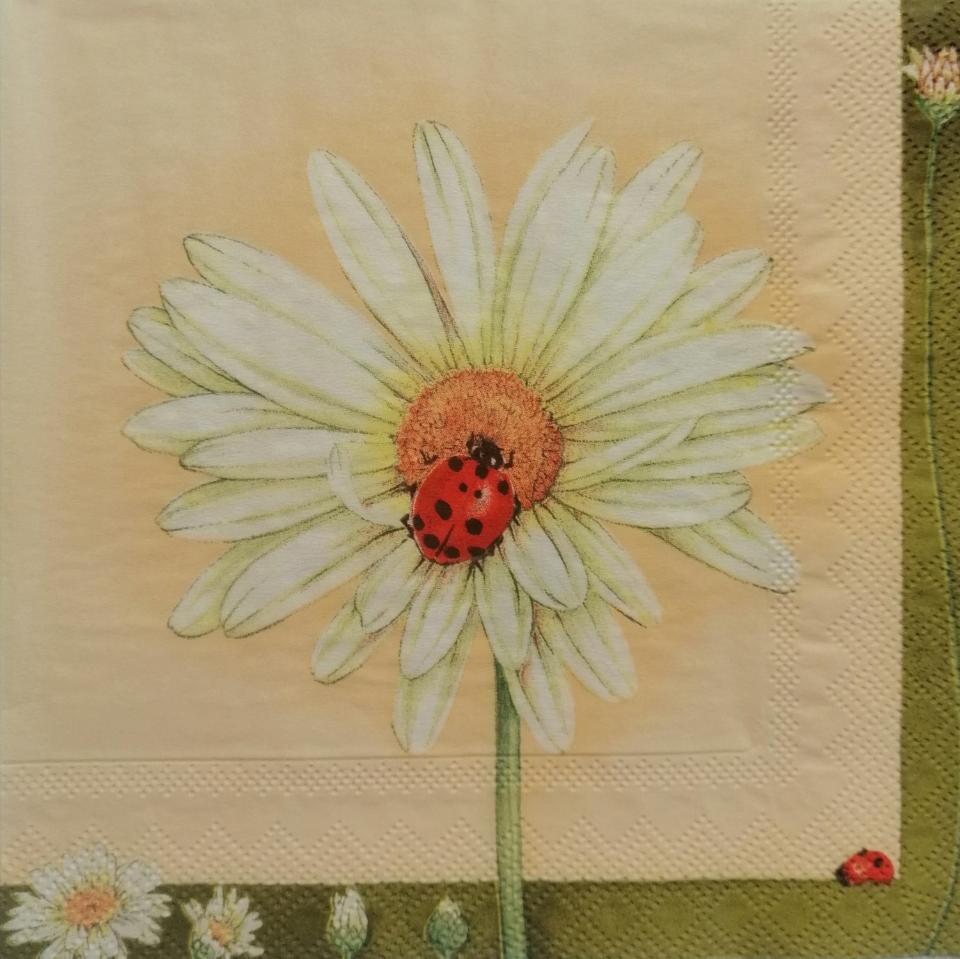 tovaglioli per decouoage margherita e coccinella arti e grafica busta da 2 pezzi 33 x 33 cm