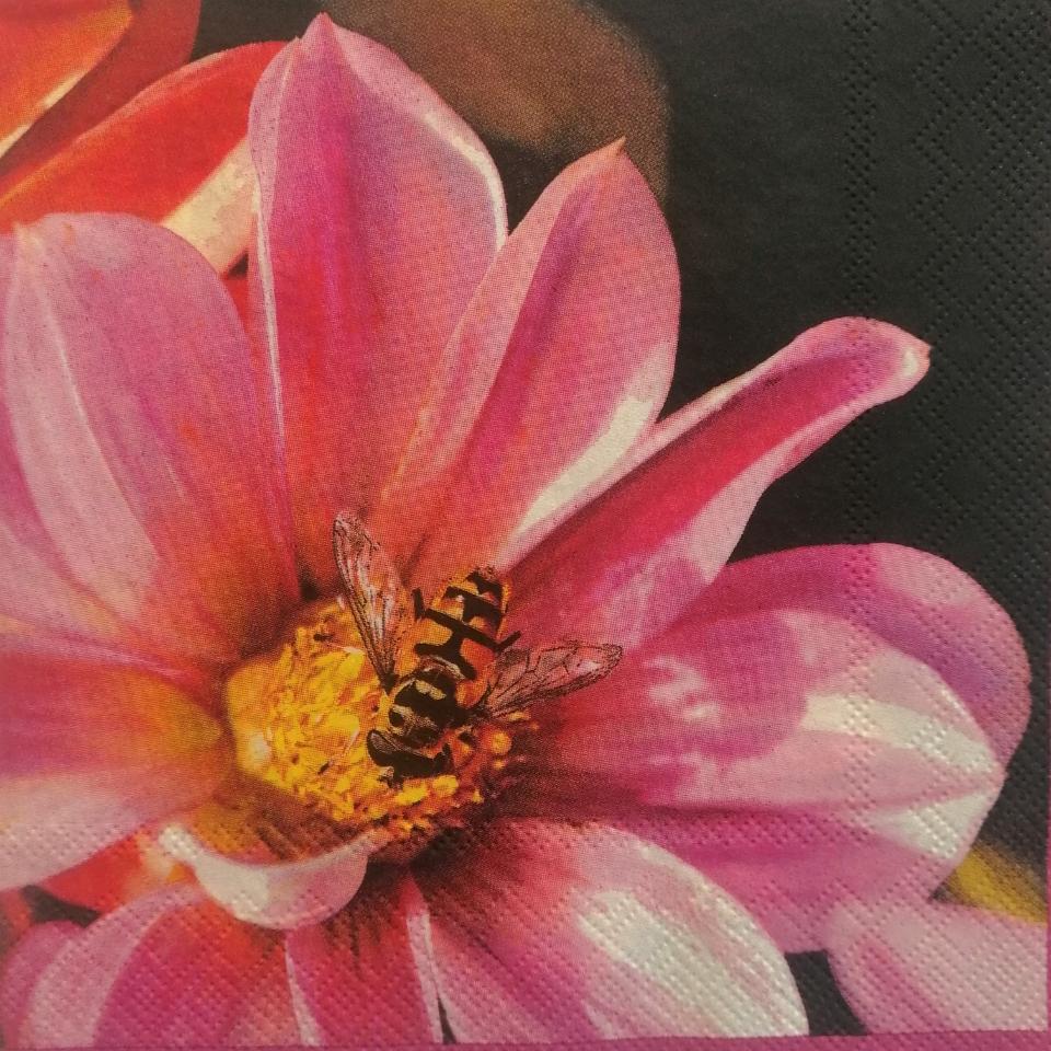 tovaglioli per decoupage dalia arti e grafica busta da 2 pezzi 33 x 33 cm