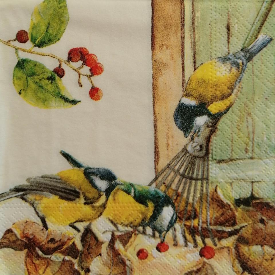 tovaglioli per decoupage uccellini arti e grafica busta da 2 pezzi 25 x 25 cm