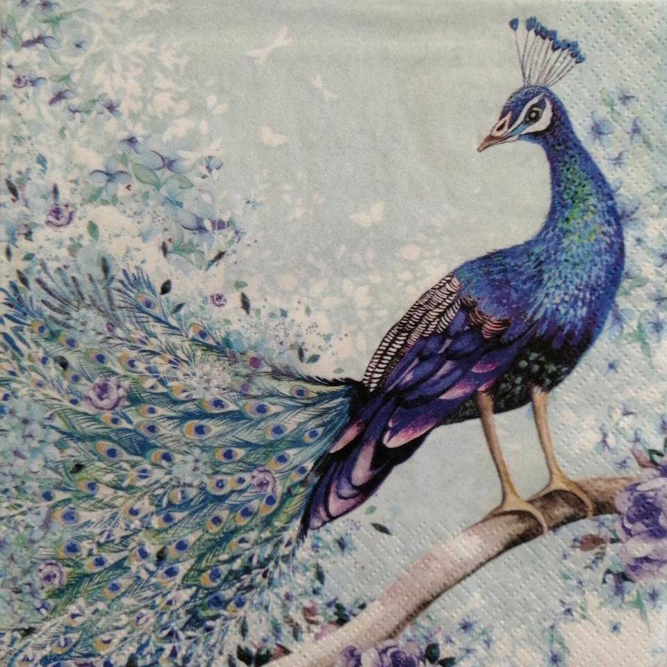 tovaglioli per decoupage animali pavone arti e grafica busta da 2 pezzi 33 x 33 cm