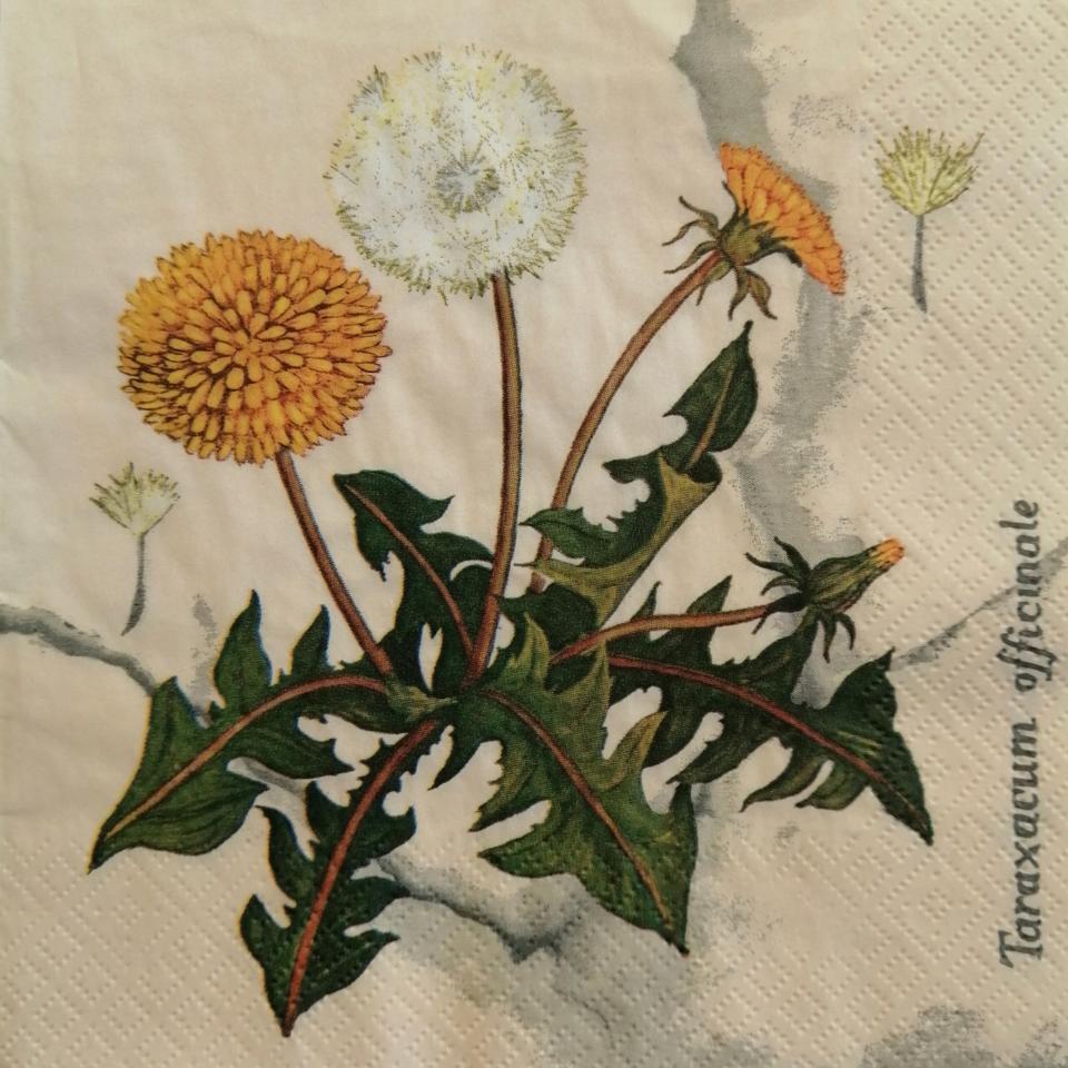 tovaglioli per decoupage fiori margherite arti e grafica busta da 2 pezzi 33 x 33 cm