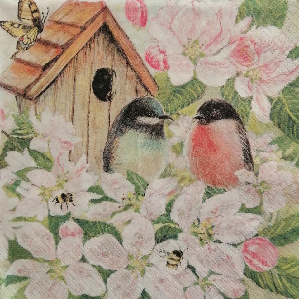 tovaglioli per decoupage fiori di mandorle con uccellini e nido arti e grafica busta da 2 pezzi 33x33 cm