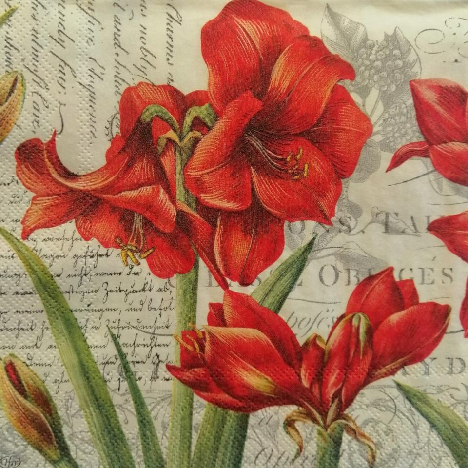 tovaglioli per decoupage fiore amarillis arti e grafica busta da 2 pezzi 33x33 cm