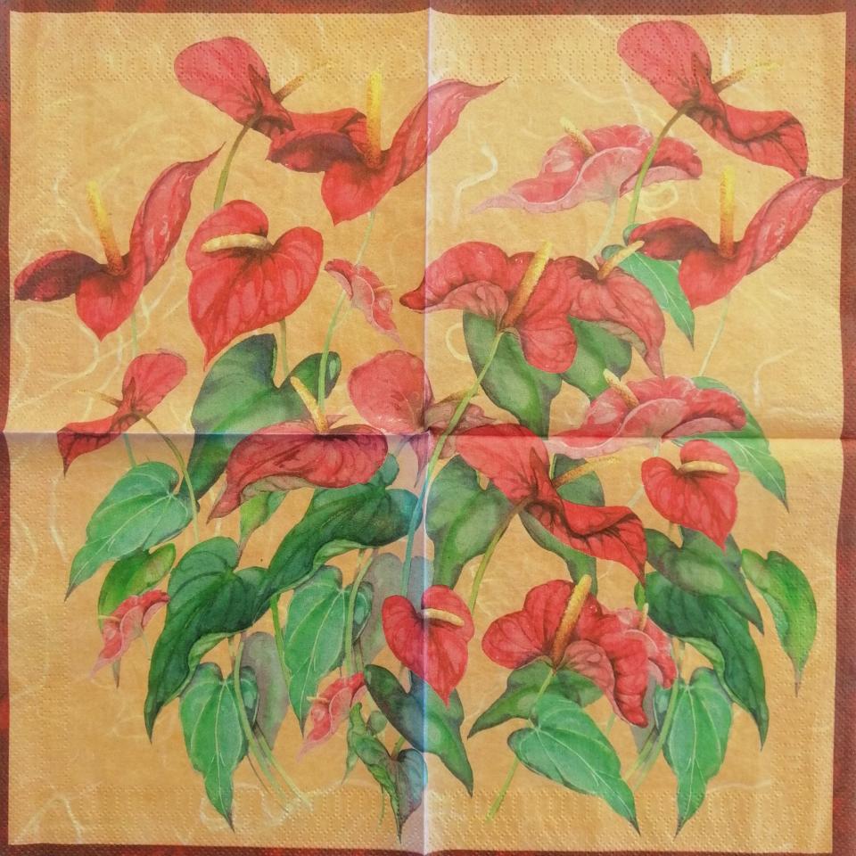 tovaglioli per decoupage fiori anthurium arti e grafica busta da 2 pezzi 33x33 cm
