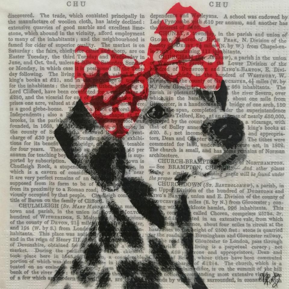 tovaglioli per decoupage animale cane con fiocco arti e grafica busta da 2 pezzi 33 x 33 cm