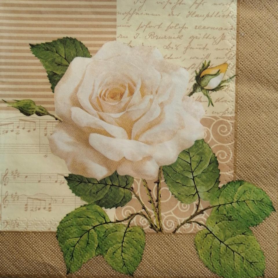 tovaglioli per decoupage rosa bianca arti e grafica busta da 2 pezzi 33 x 33 cm