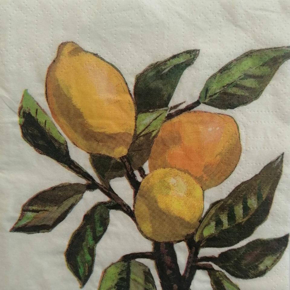 Tovaglioli per decoupage -  Limoni arti e grafica busta da 2 pezzi 25 x25 cm