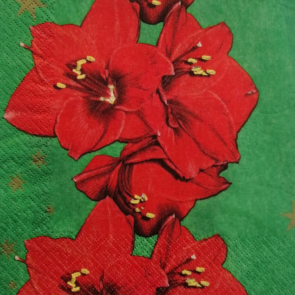 tovaglioli per  decoupage fiori amarillis  rossi arti e grafica busta da 2 pezzi 33x33