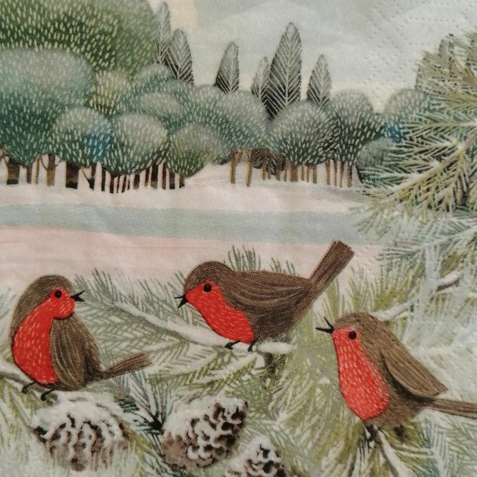 tovaglioli per decoupage pettirossi arti e grafica busta da 2 pezzi 25x25