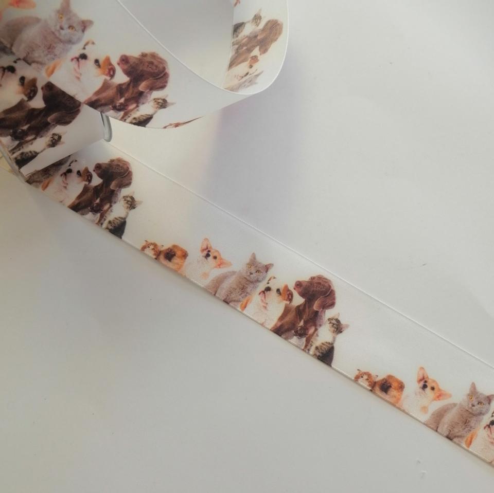 nastro bianco con stampa cane e gatti goldina 40 mm x 1mt