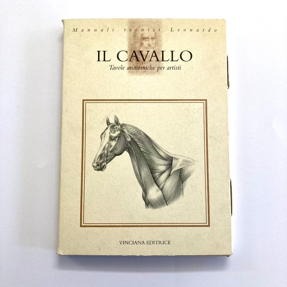 Il Cavallo - Tavole Anatomiche Leonardo Collana Leonardo Libro