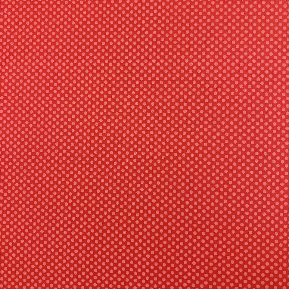 Gomma crepla o fommy rosso con pois bianchi stafil 40x60cm 2mm