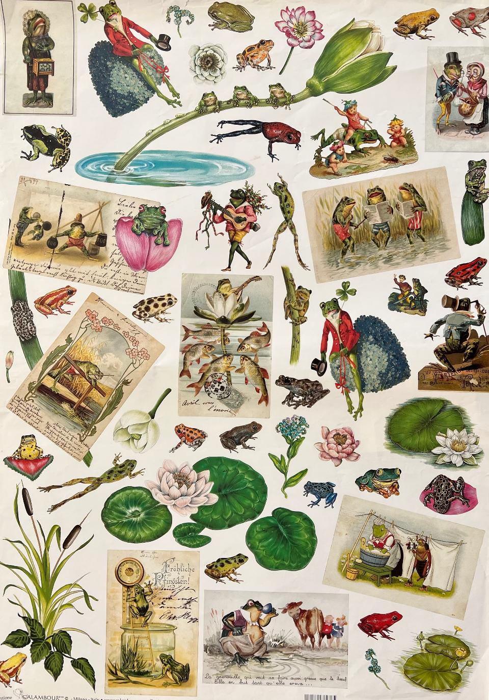 Carta Classic - Rane (sc2) Calambour 50x70 cm