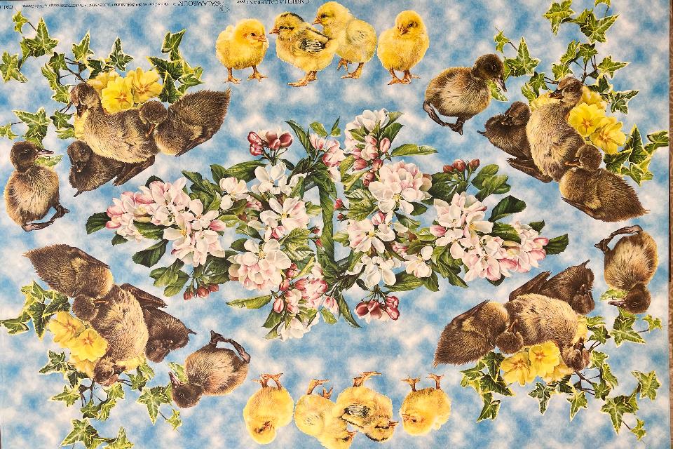 Carta Classic - Pulcini (sc2) Calambour 50 x 70 cm