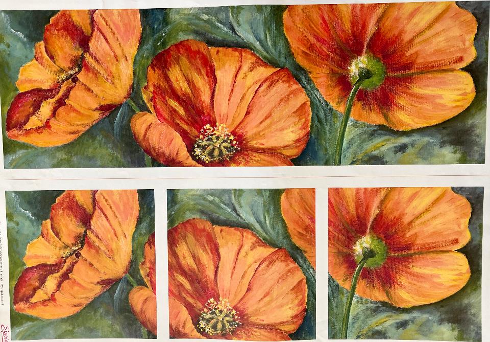 Carta Classic - Papaveri (sc2) Esprimo 50x70 cm