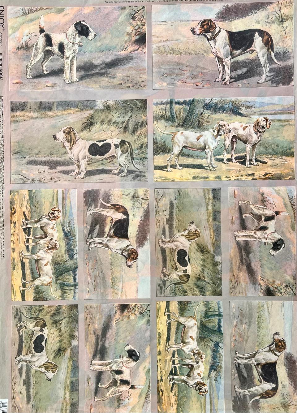 Carta Classic - Cani da Caccia (sc2) Enjoy Paper 50x70 cm