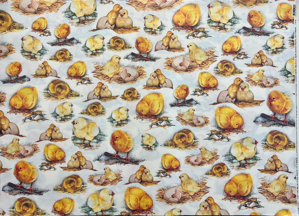 Carta Classic - Pulcini 2 (sc2) Tassotti 50x70 cm