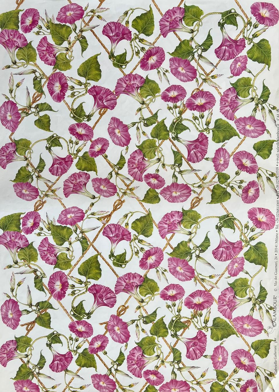 Carta Classic - Rampicante Fiorito(sc2) Calambour 50x70 cm