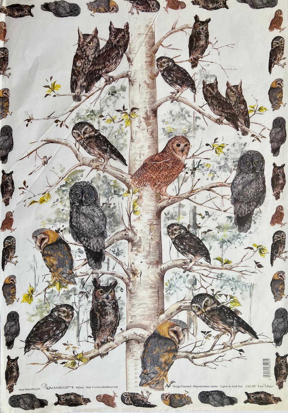 Carta Classic - Gufi (sc1) Calambour 50x70 cm