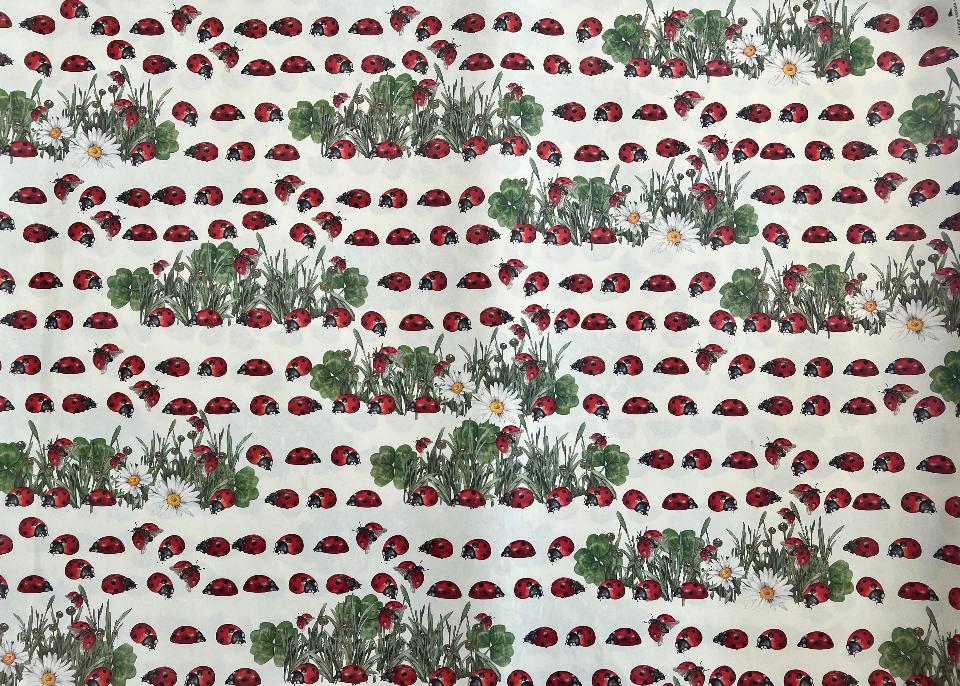 Carta Classic - Coccinelle (sc2) Arti e Grafica 50x70 cm