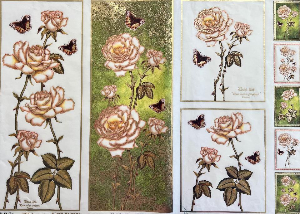 Carta velo - Rosa Indica Fragrans (SC1) TODO Paper Soft 50 x 70 cm