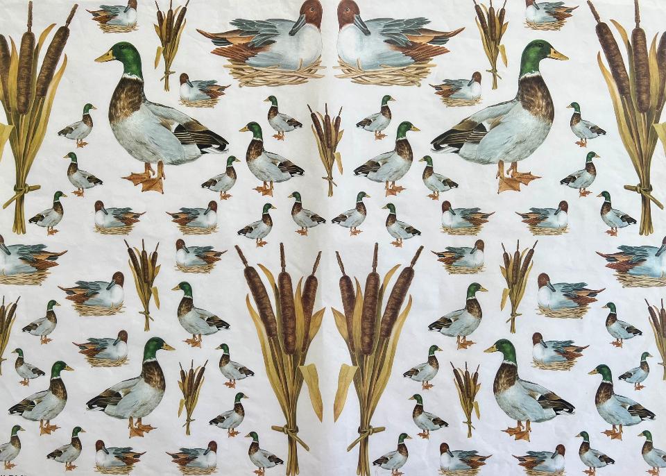 Carta velo - Mallards (SC1) Enjoy Paper 50 x 70 cm