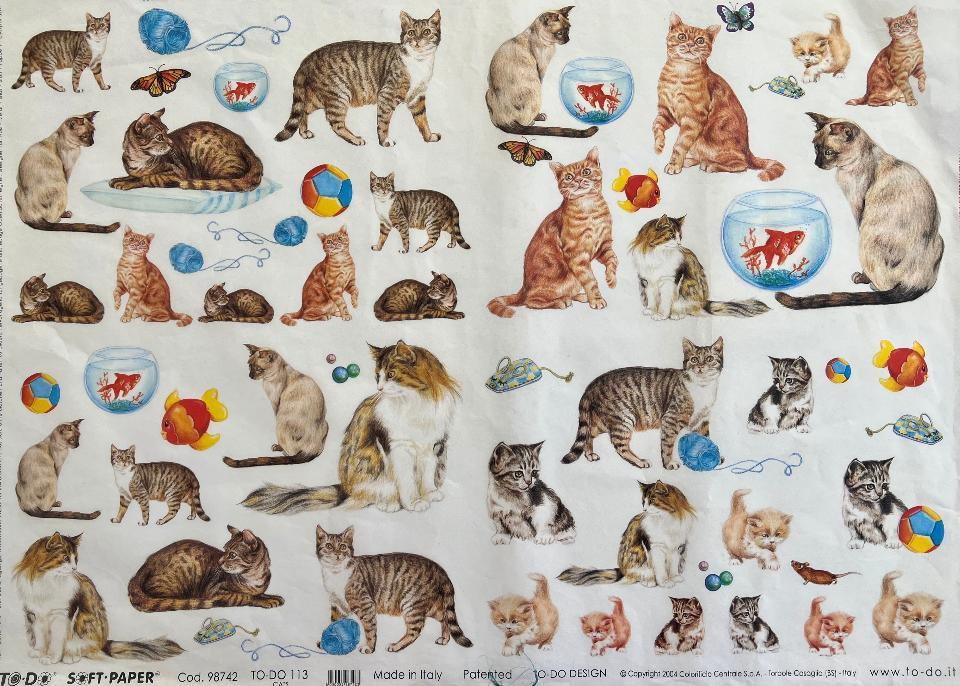 Carta velo - Gatti (SC1) TODO Paper Soft 50 x 70 cm