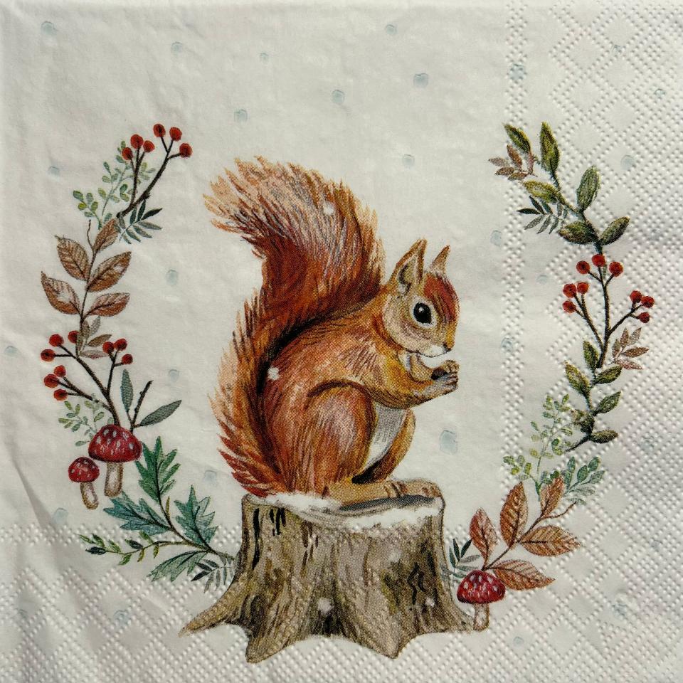 tovaglioli per decoupage scoiattolo carino arti e grafica busta da 2 pezzi 33 x 33