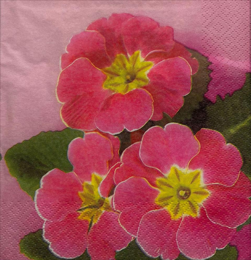 tovaglioli per decoupage fiori arti e grafica busta da 2 pezzi 33x33 cm