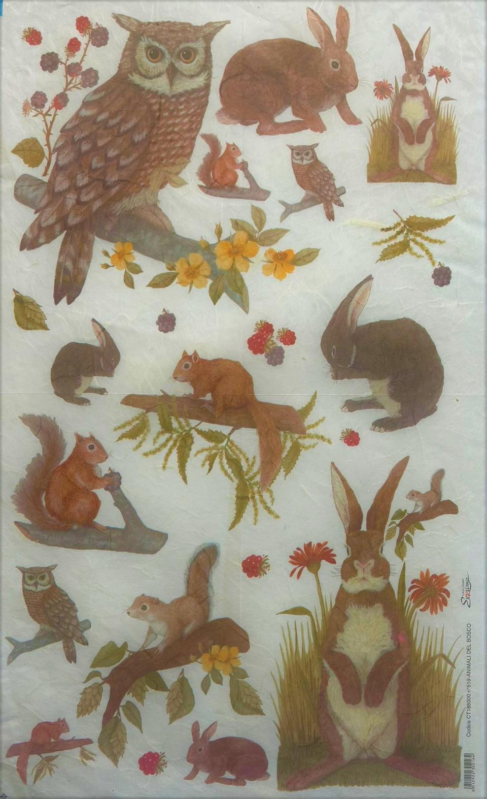 Carta riso animali del bosco stamperia 33x48