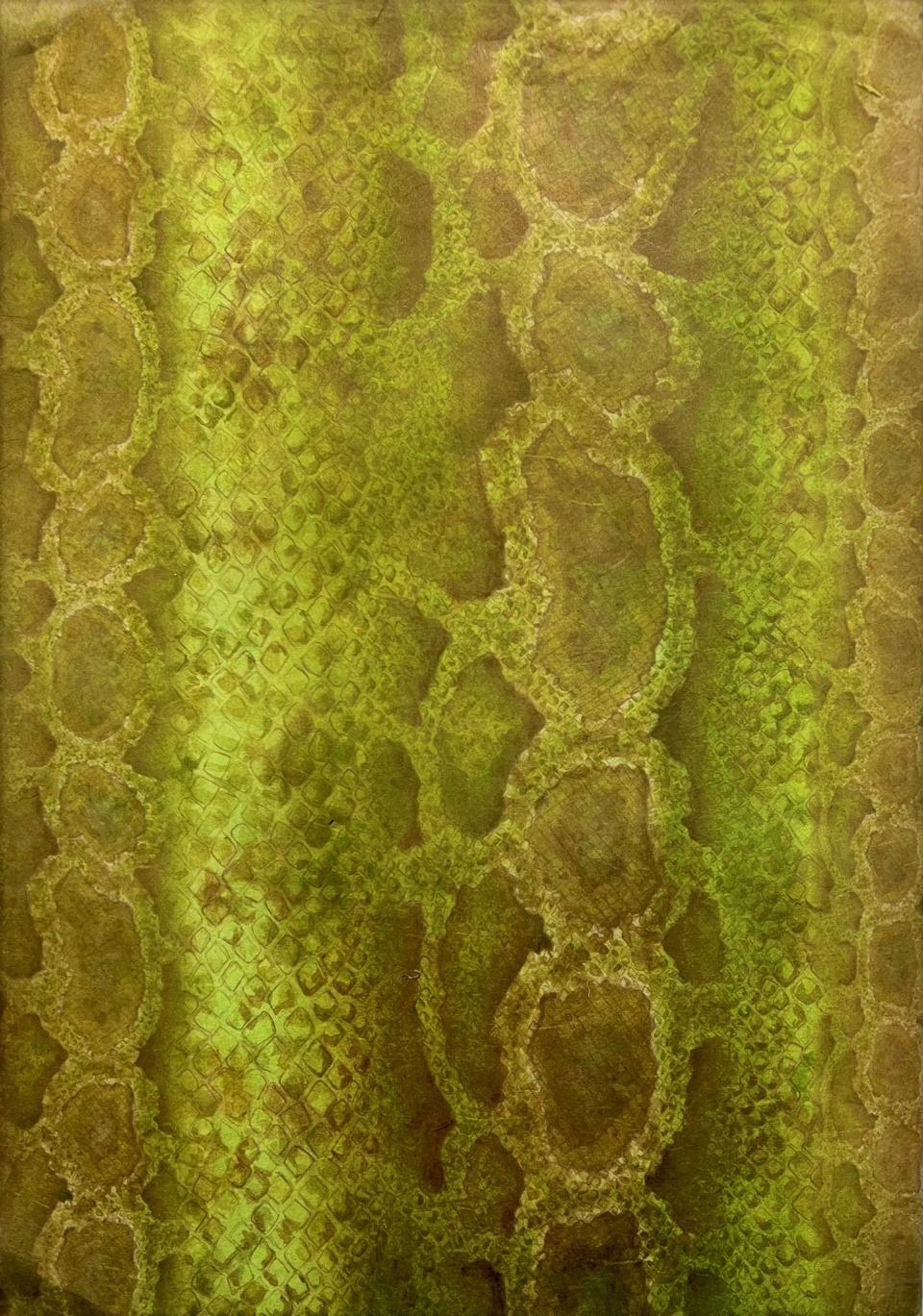 Carta riso verde pitonata stamperia 33x48