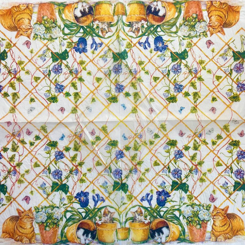 Tovagliolo in carta riso - Gatti dentro i vasi stamperia 50 x 50 cm