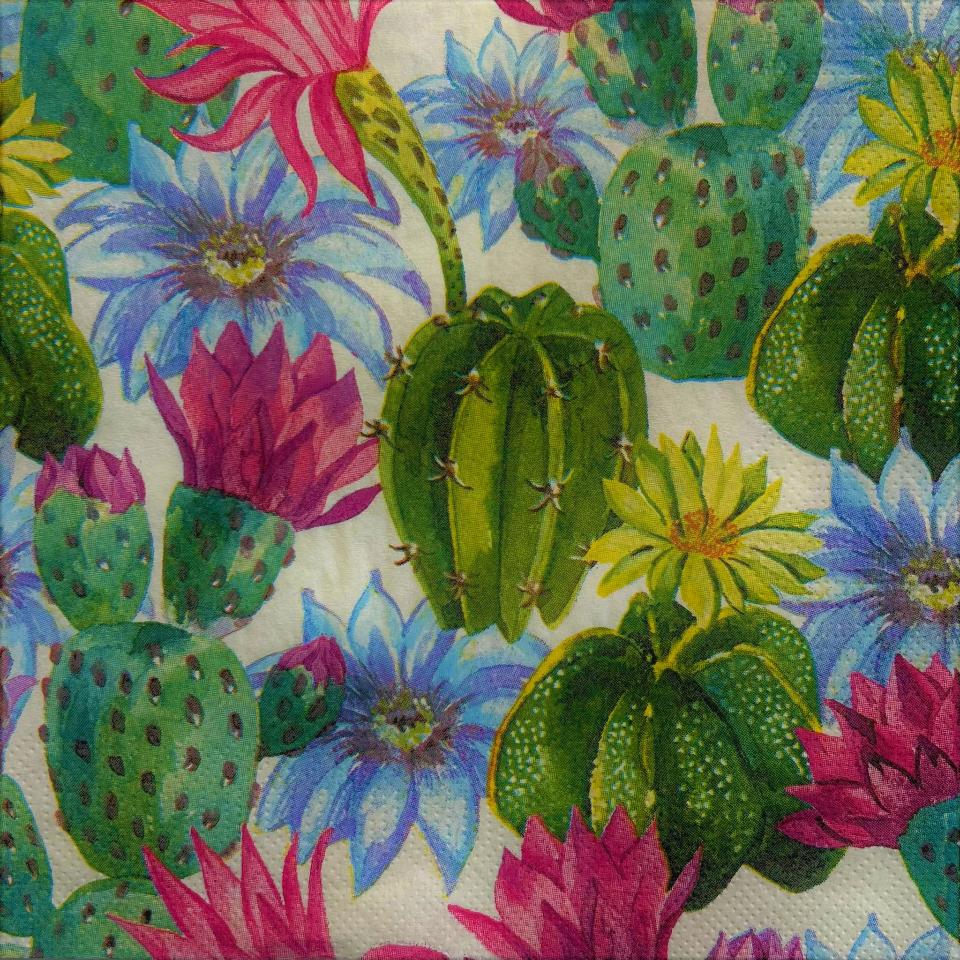 Tovaglioli per Decoupage cactus arti e grafica busta da 2 pezzi 30x30