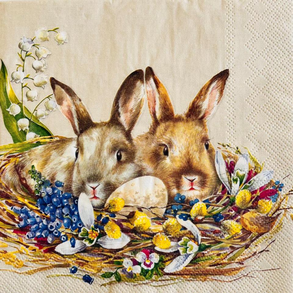 Tovaglioli di pasqua con coniglietti arti e grafica busta da 2 pezzi 33 x 33