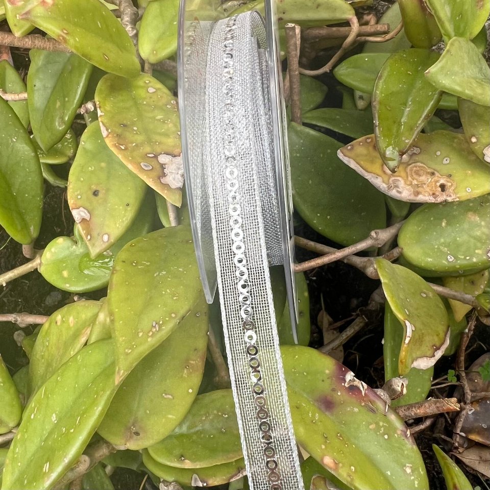 nastro argento con paillettes Goldina 10 mm x 1mt