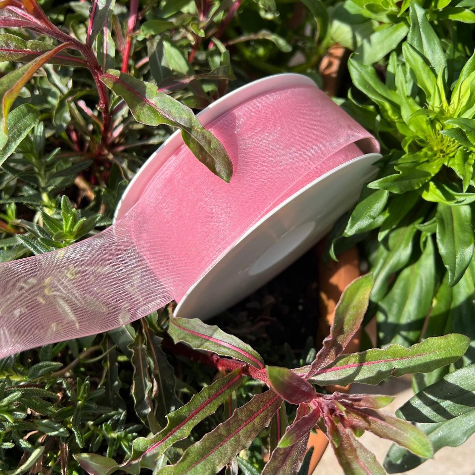 astro organza rosa Goldina 40 mm x 1 mt