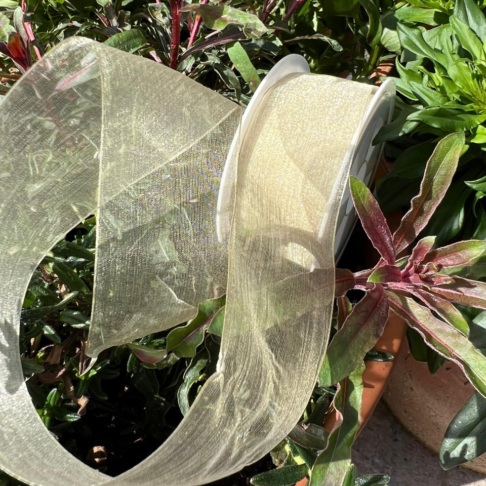 Copia di nastro organza oro toscano 40 mm x 1 mt